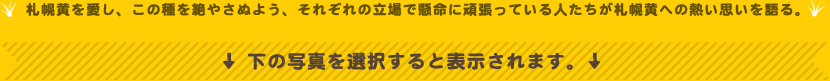 札幌黄を愛し、この種を絶やさぬよう、それぞれの立場で懸命に頑張っている人たちが札幌黄への熱い思いを語る。