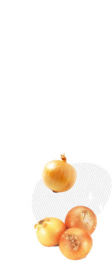 東区の歴史の一部であり大事な宝物みんなで応援して盛り上げよう